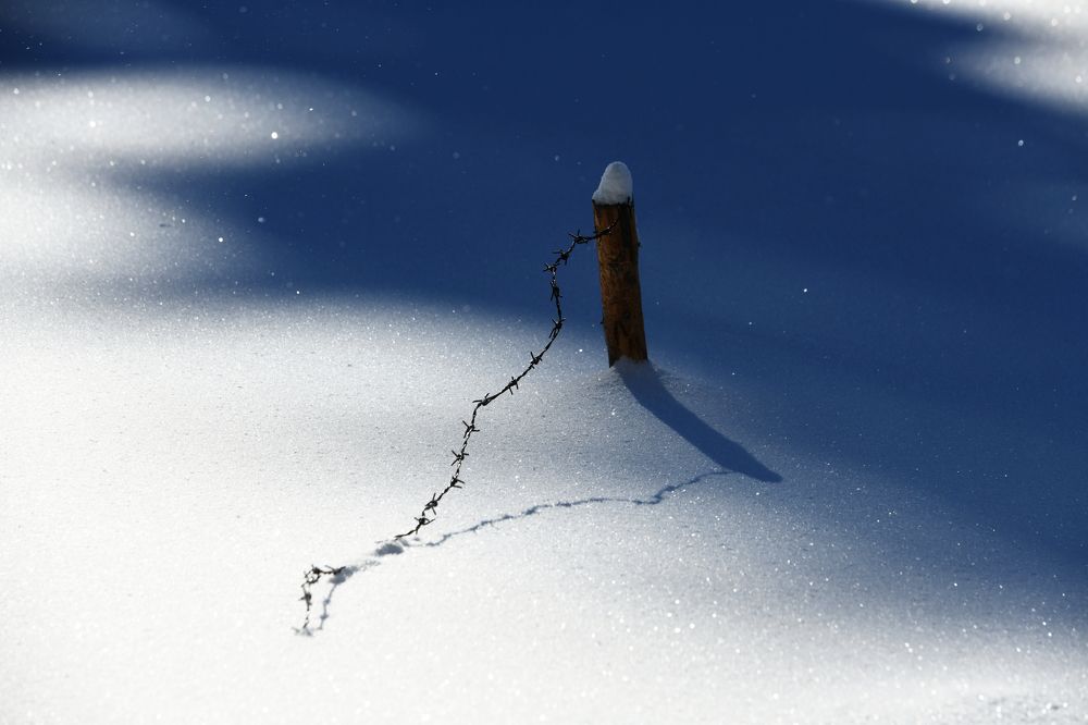 Photograph by Petr Šigut