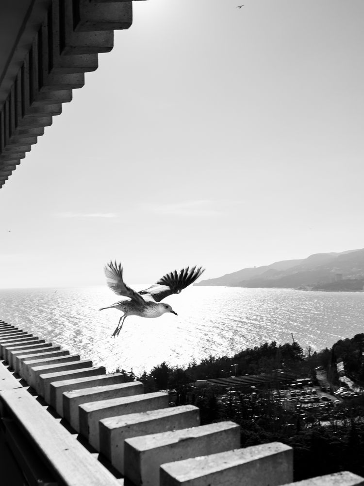 Photograph by Елизавета Медведева