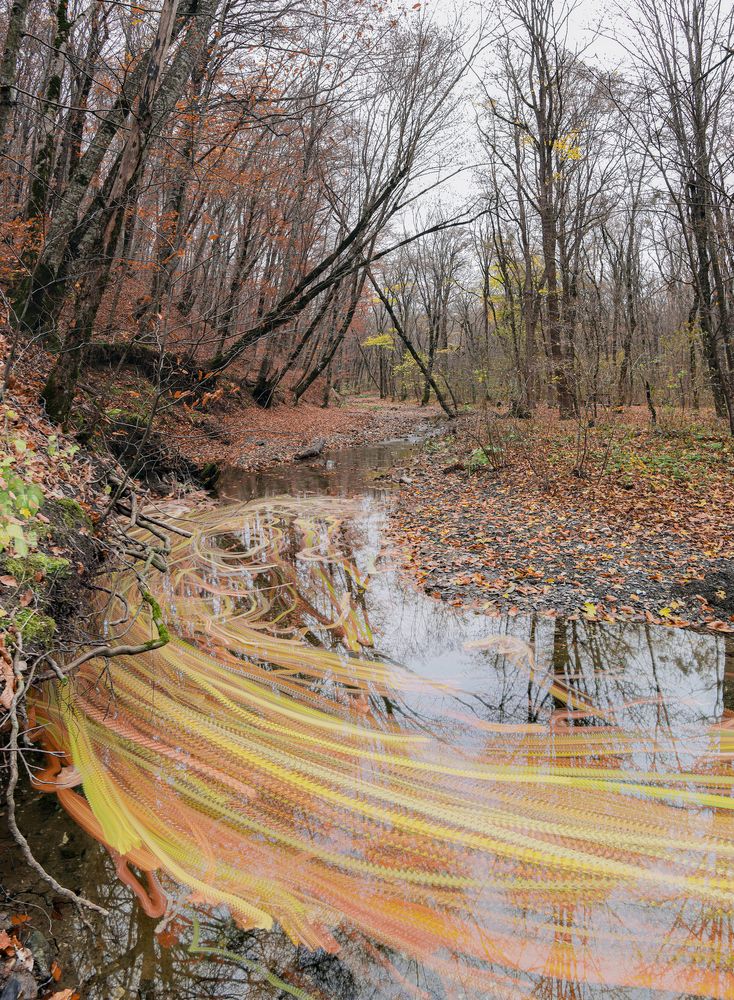 Photograph by Сергей Христинич