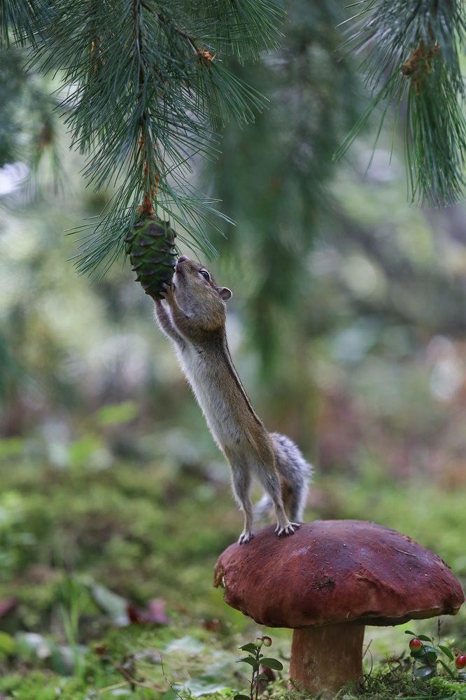 Photograph by Евгения Левина