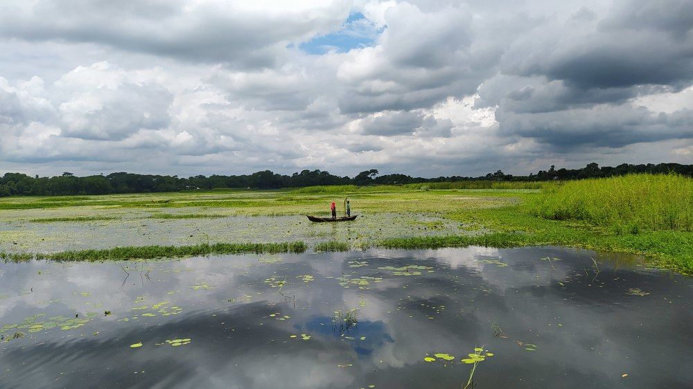 Фотография автора Mahadi Hassan