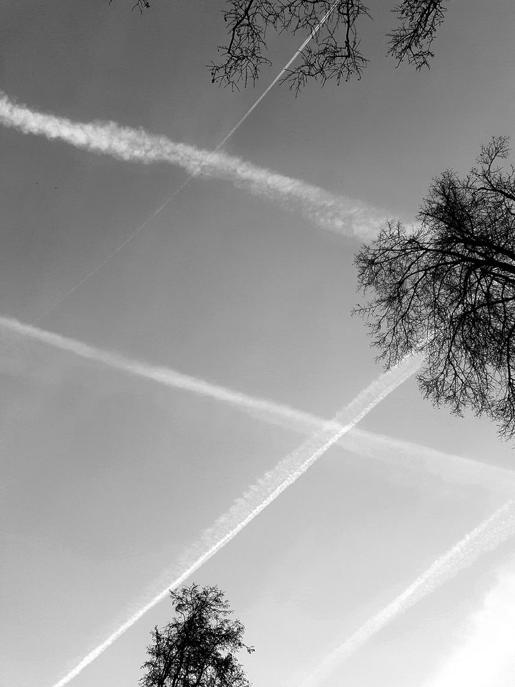 Photograph by Екатерина Мауль