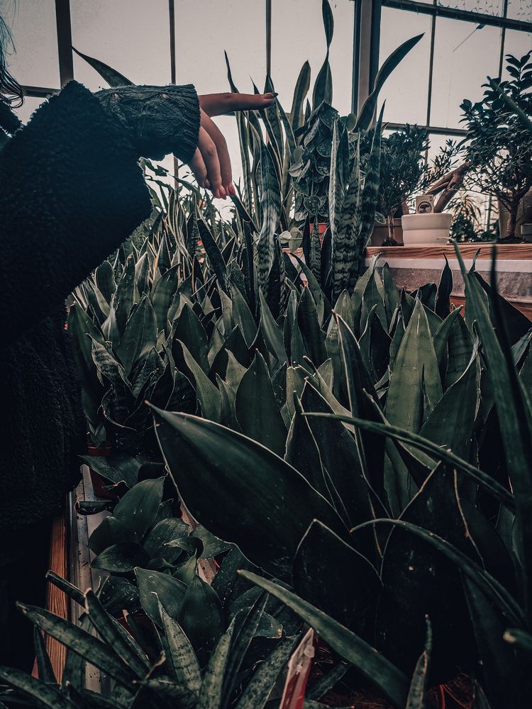 Фотография автора Кристина Нестерук