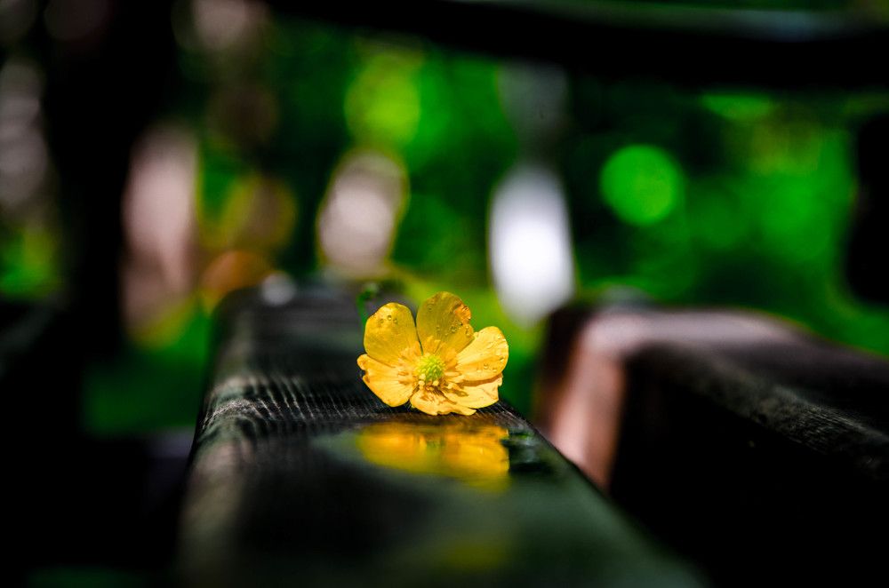 Photograph by Сергей Андрейчук