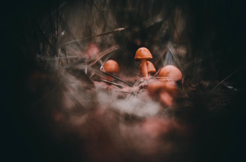 Photograph by Сергей Андрейчук