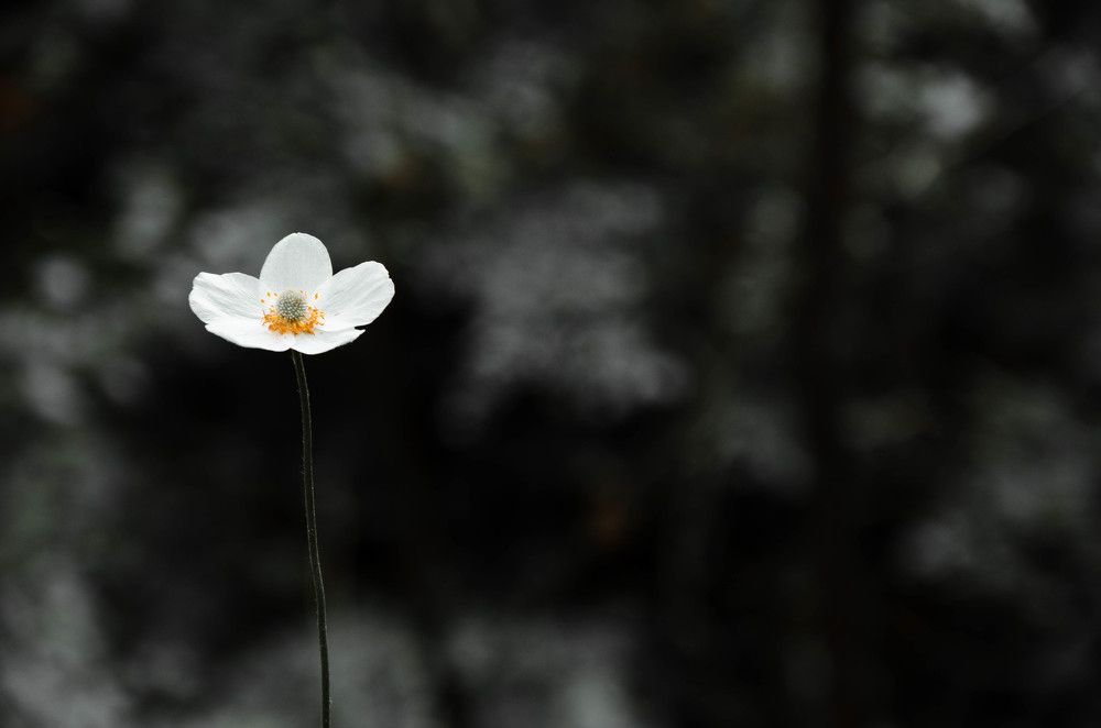 Photograph by Сергей Андрейчук