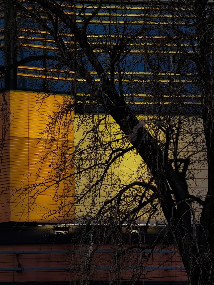 Photograph by Александр Максимов