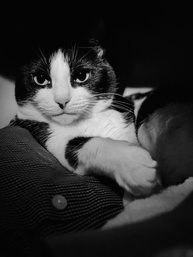 Photograph by Александр Максимов