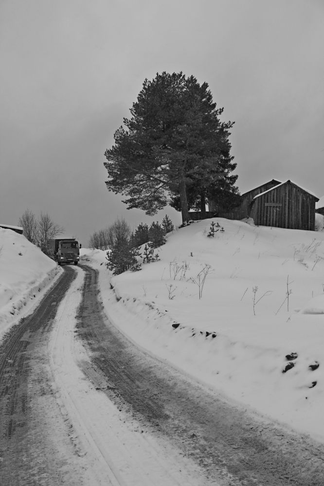 Photograph by Елена Петрова