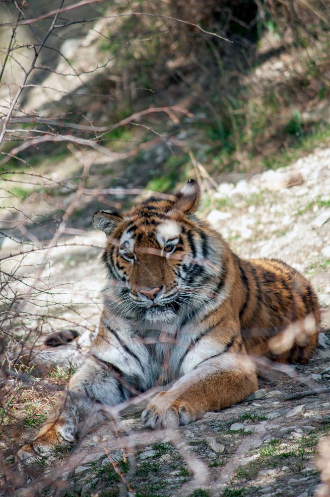 Photograph by Сергей Христинич