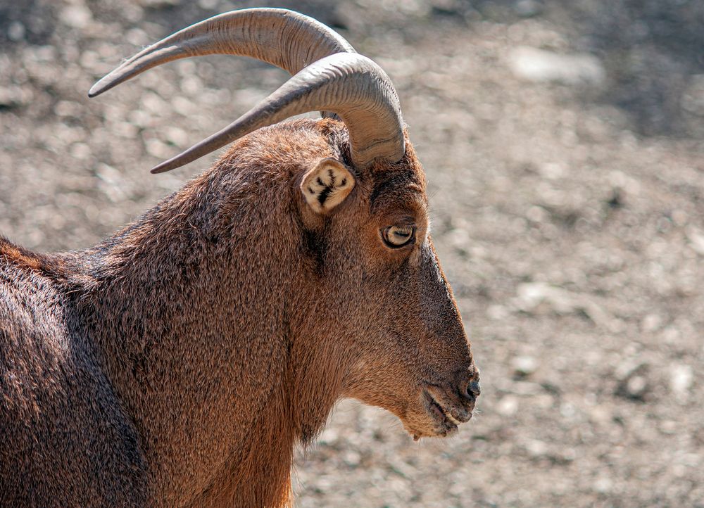 Photograph by Сергей Христинич