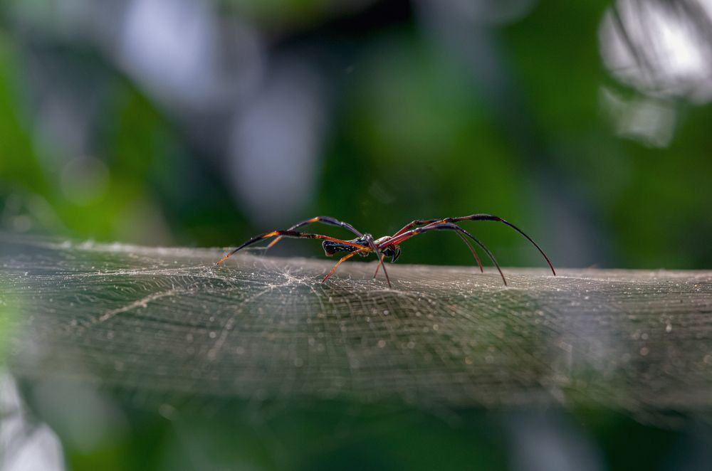 Photograph by Kshitij Patle