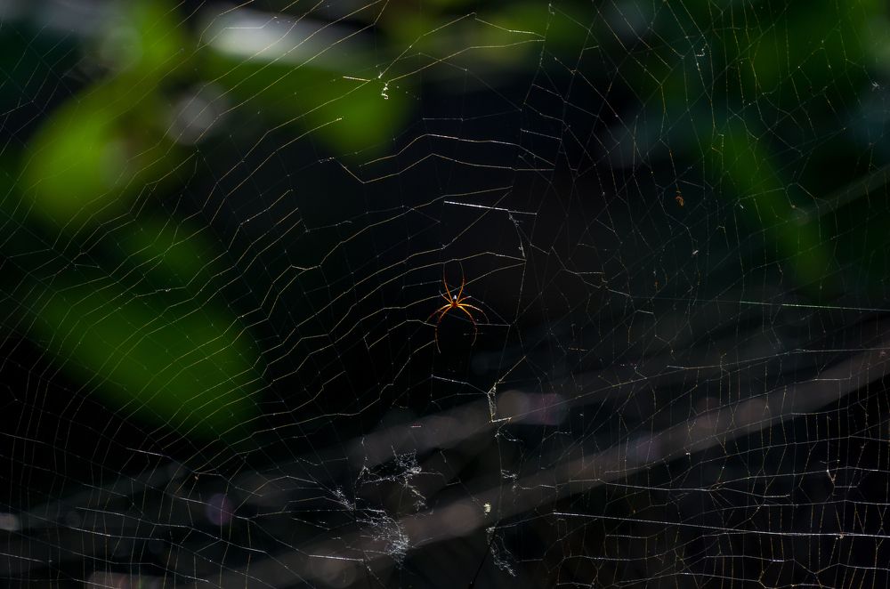 Photograph by Kshitij Patle