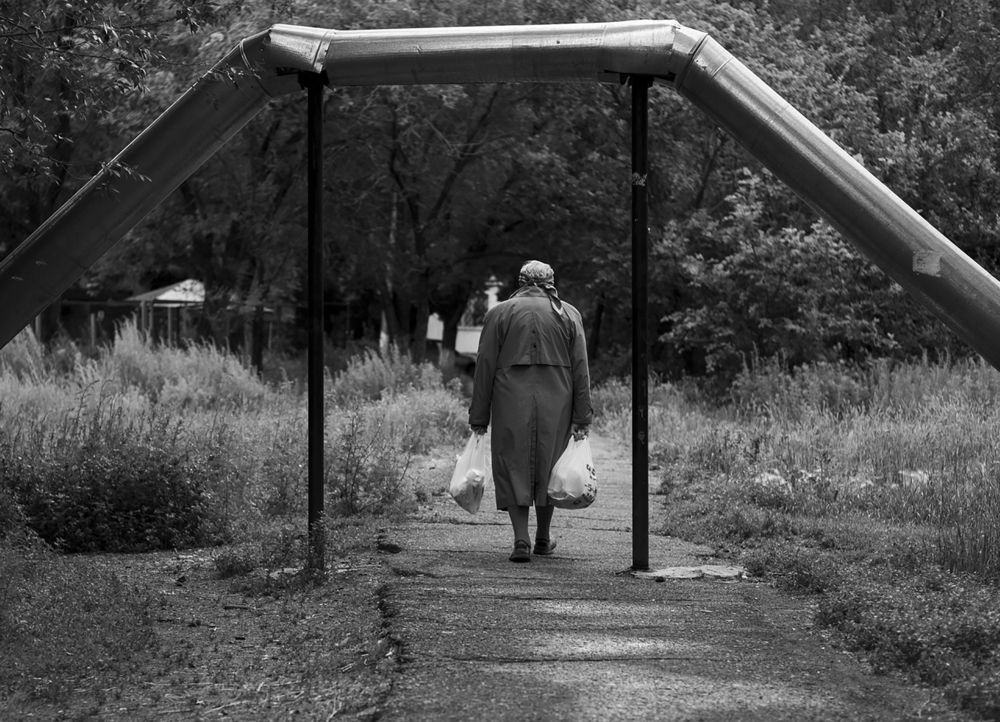 Photograph by Бисембаев Данияр