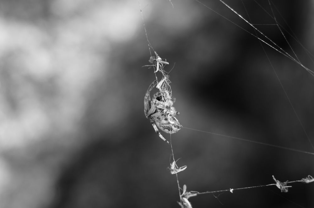 Photograph by Федор Лазарев