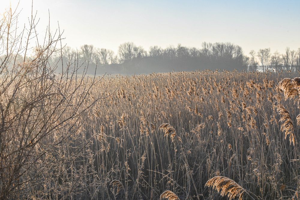 Photograph by Yuri Bohatyrov