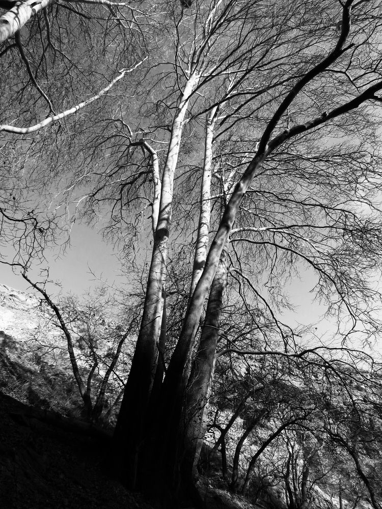 Фотография автора Mahdi Mohammadi