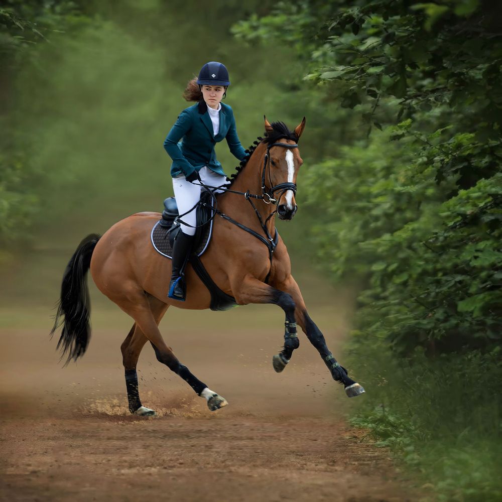 Конкур. Мария  и Хиндира