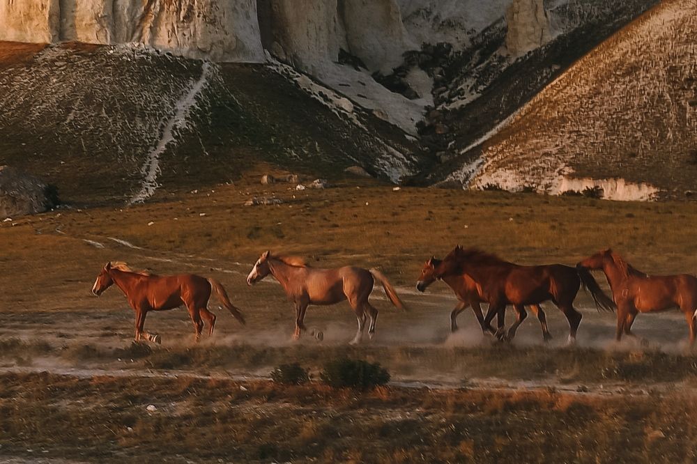 Photograph by Сергей Жигульский