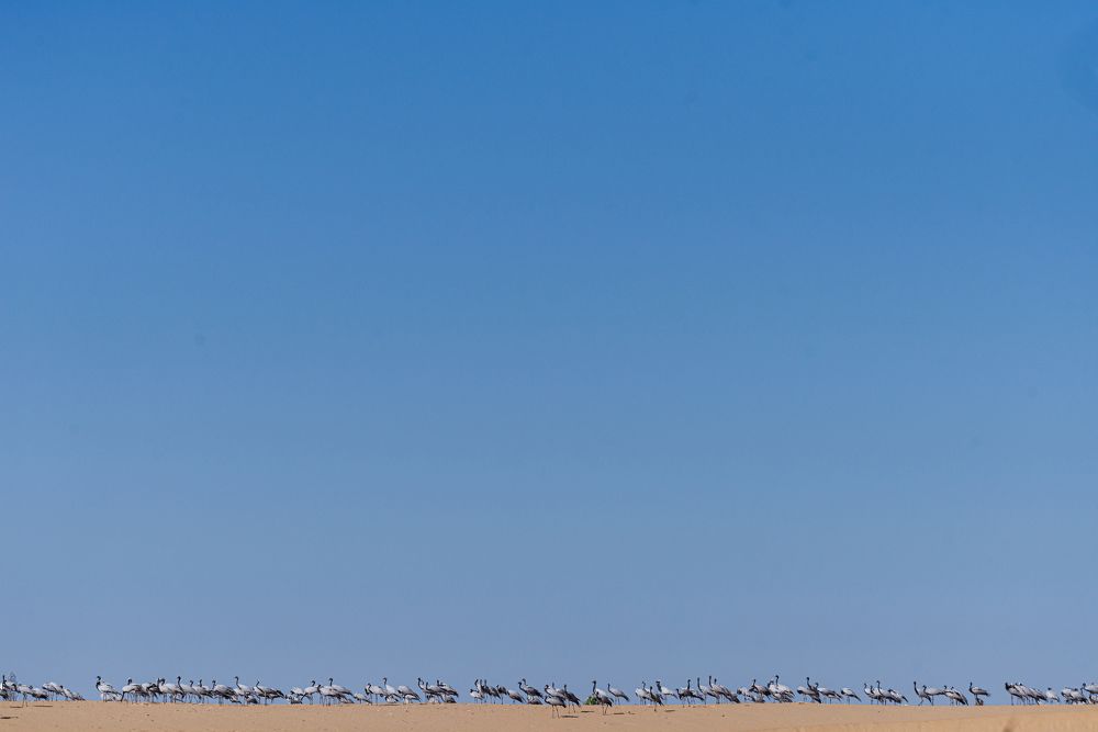 Photograph by Kshitij Patle