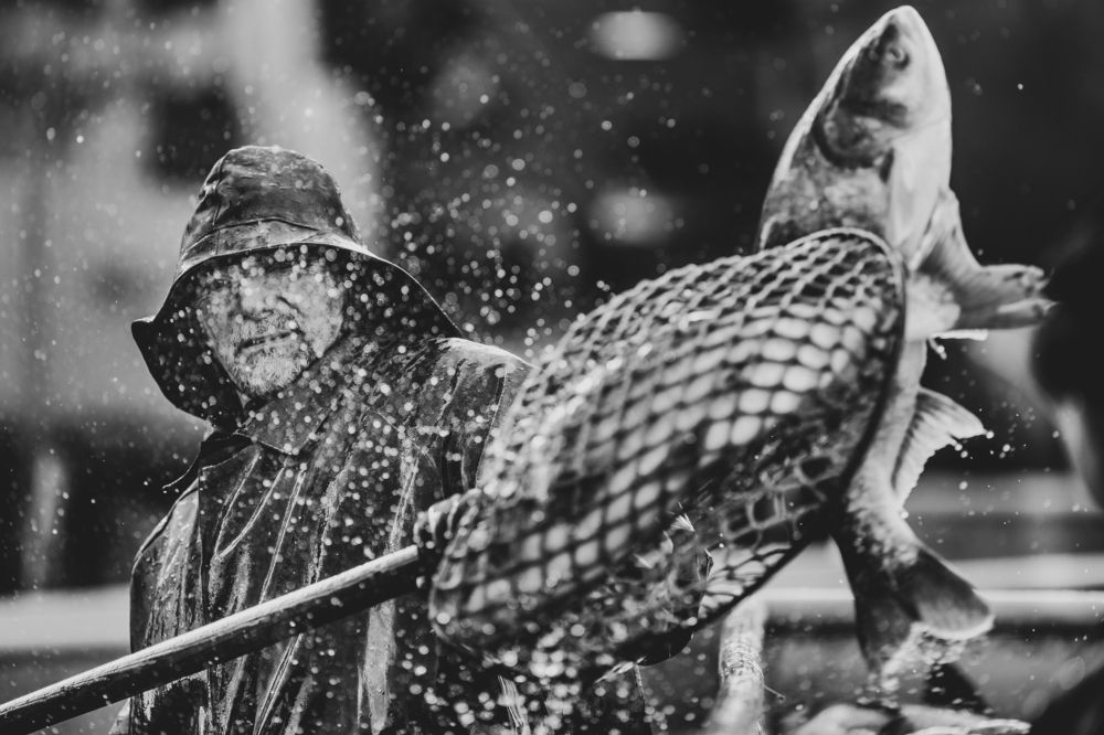 Photograph by Zdeněk Dvořák