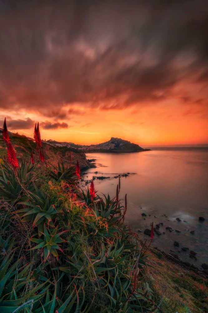 Photograph by Marco Dajethy