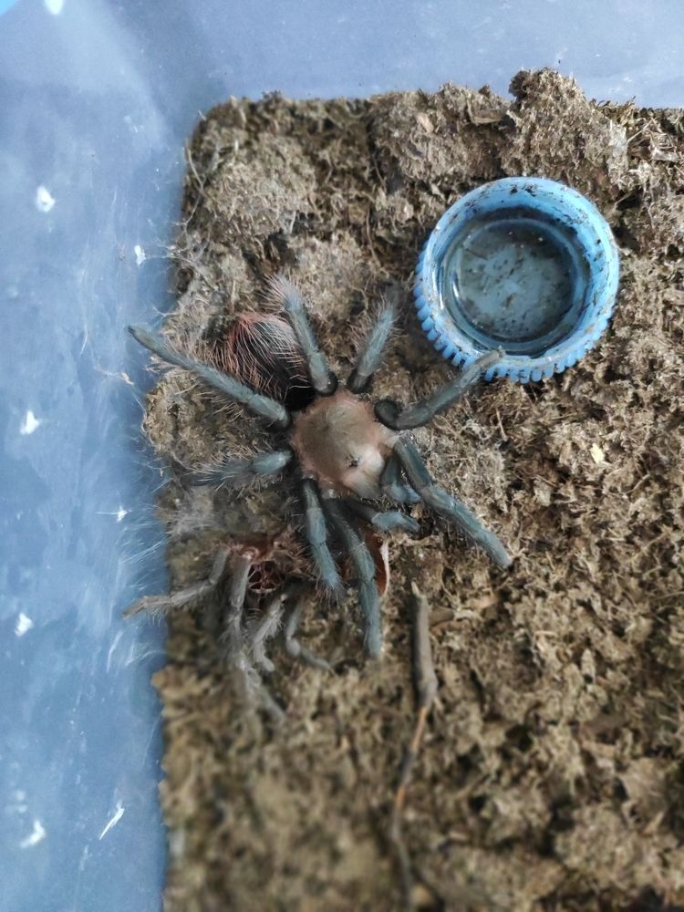 Photograph by Elvira Magsumova