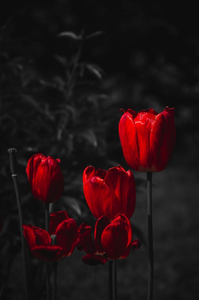 Photograph by Сергей Андрейчук