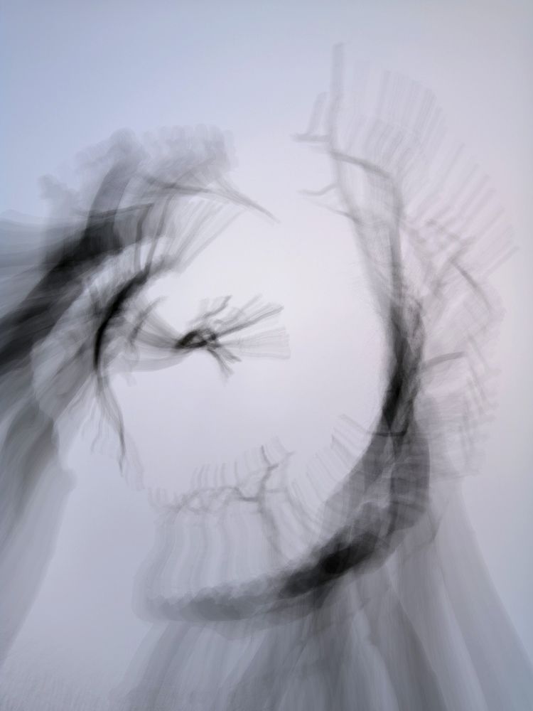 Photograph by Светлана Веселовская