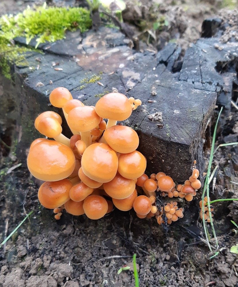 Фотография автора Ирина Лукьянчик