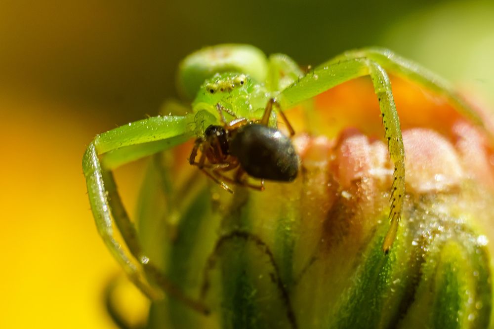 Photograph by Александр Казак