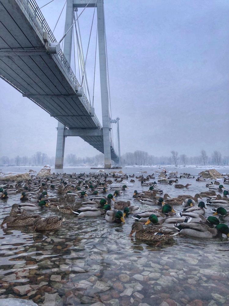 Photograph by Светлана Дмитриева