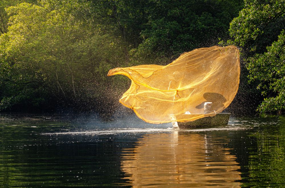 Art of netting fish