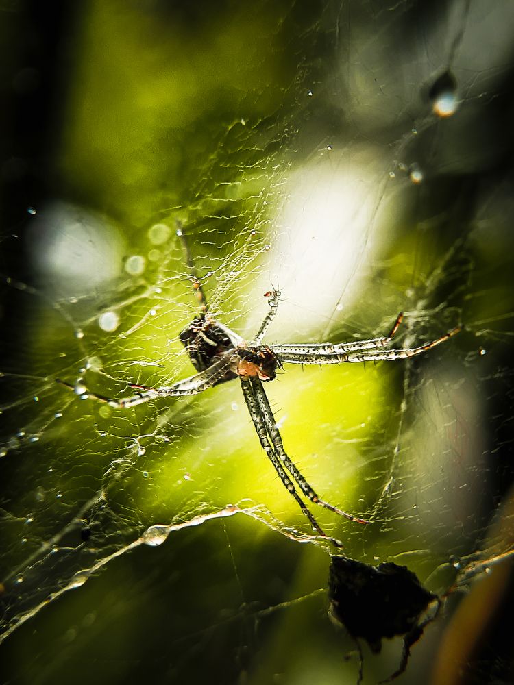 Photograph by Deep Patel