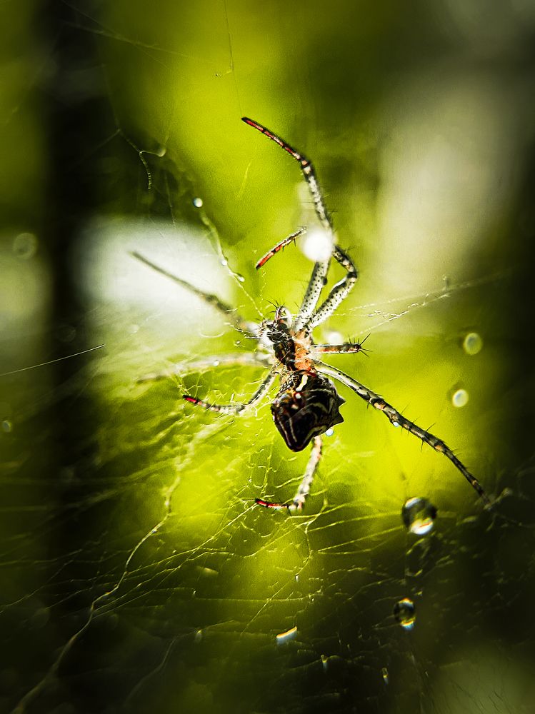 Photograph by Deep Patel