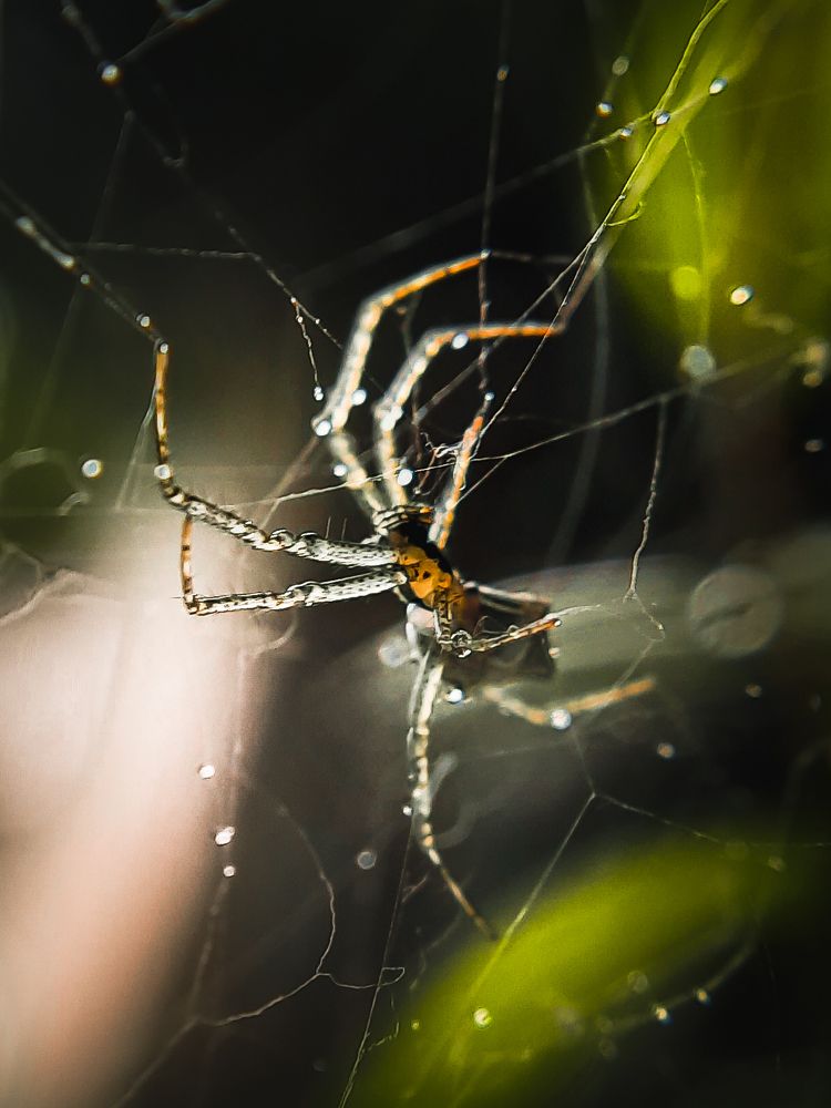 Photograph by Deep Patel