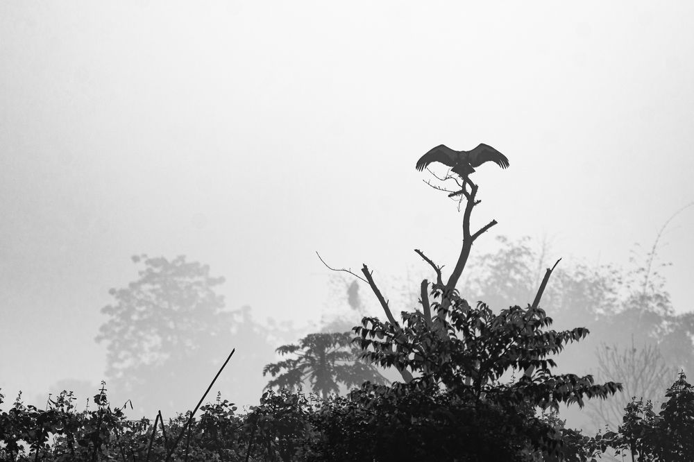 Photograph by Pinak Paul