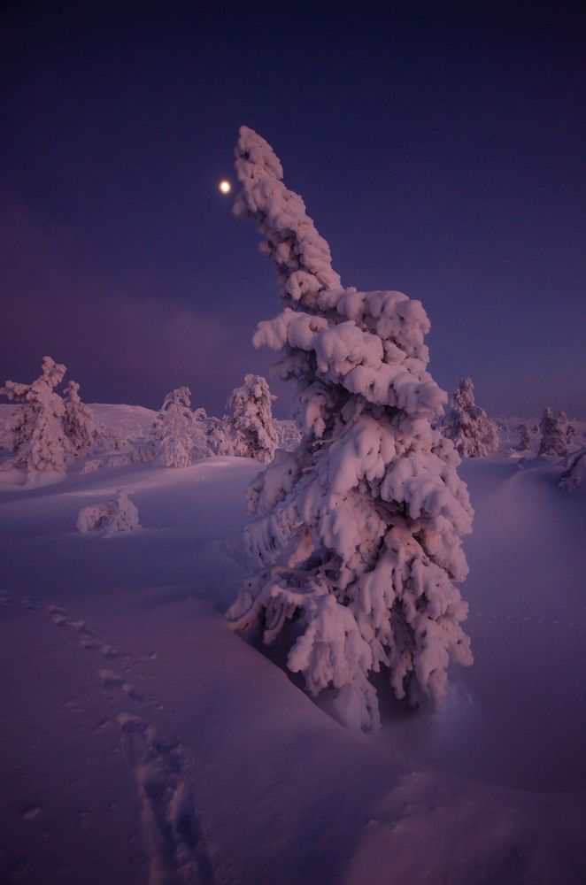 Photograph by Абрамов Денис