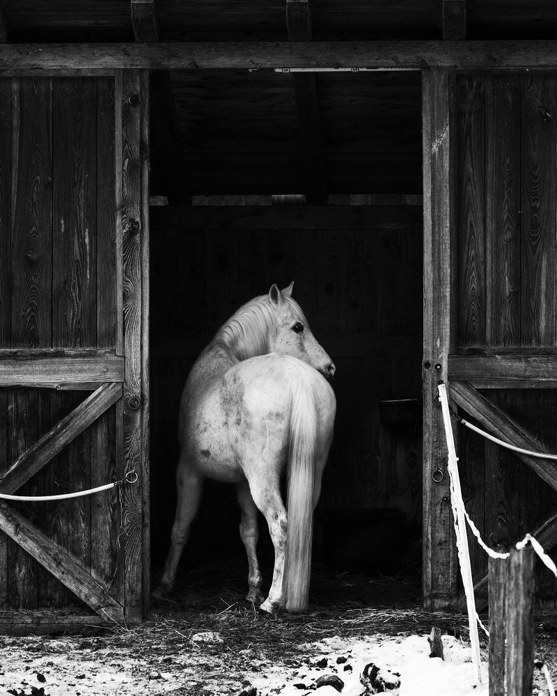 Фотография автора Василий Рябовол