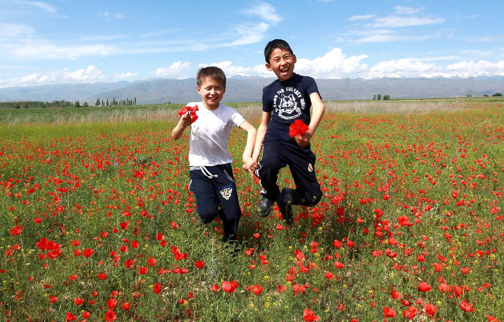 Photograph by Бердибек Султамуратов