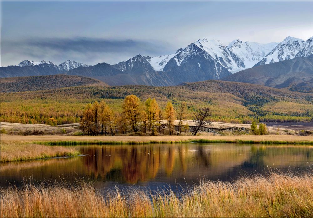 Photograph by Светлана Крат