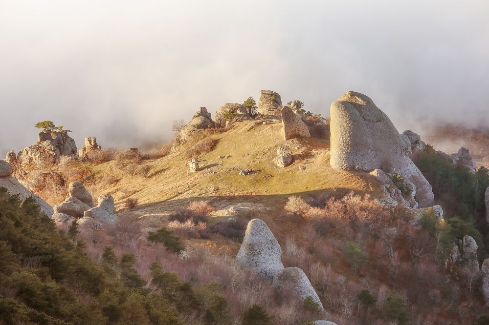 Photograph by Анастасия Калинцева