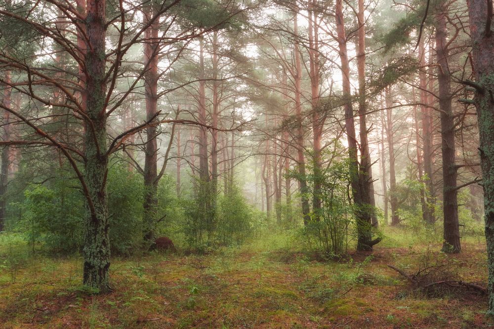 Photograph by Анастасия Калинцева