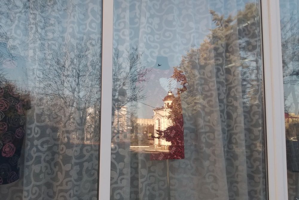 Photo #7263153