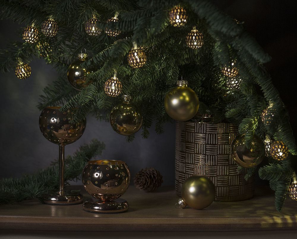 Фотография автора Алина Ланкина