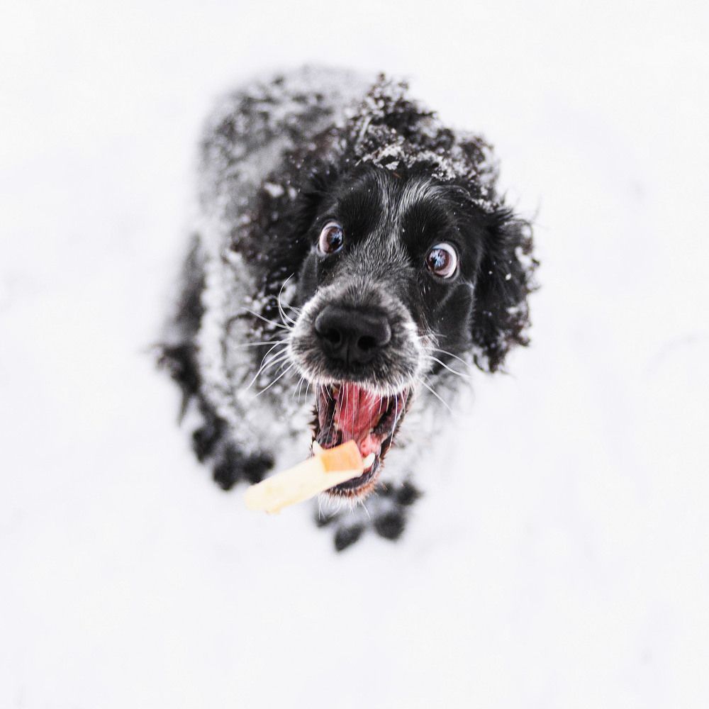 Photograph by Lesnoe Photo