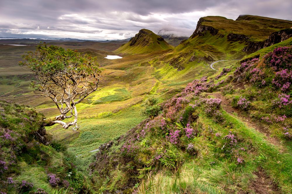 Photograph by Maja Bet