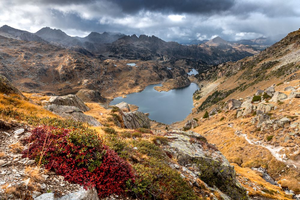 Photograph by Maja Bet