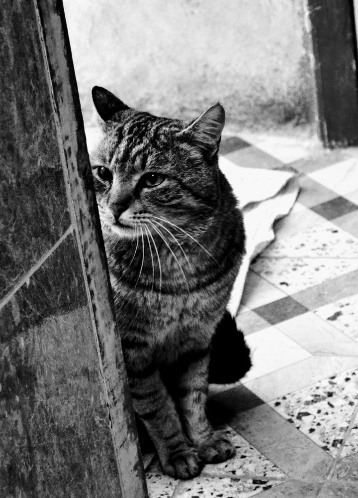 Photograph by Sakhria Mbarki