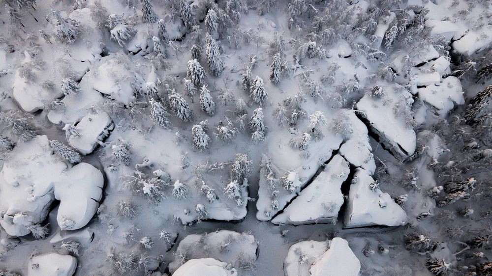 Photograph by Валерий Кучинский